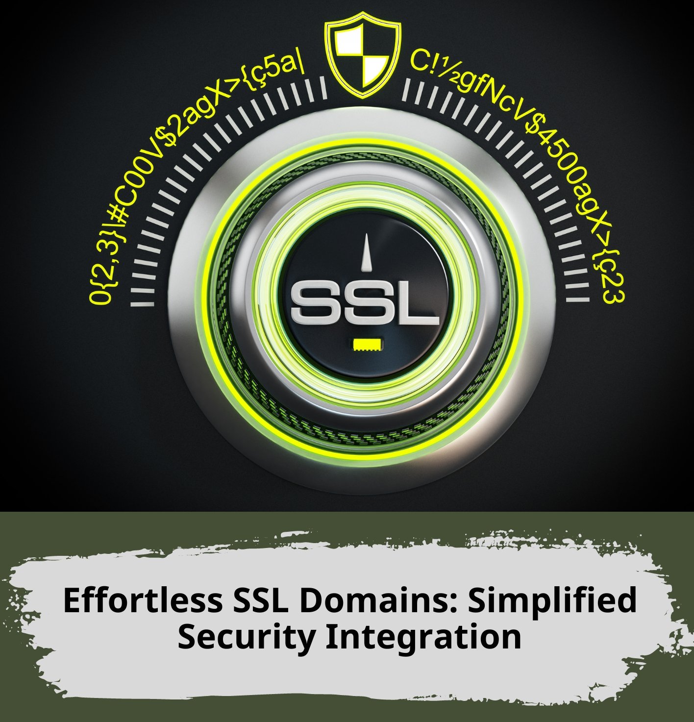 Effortless SSL Domains: Simplified Security Integration