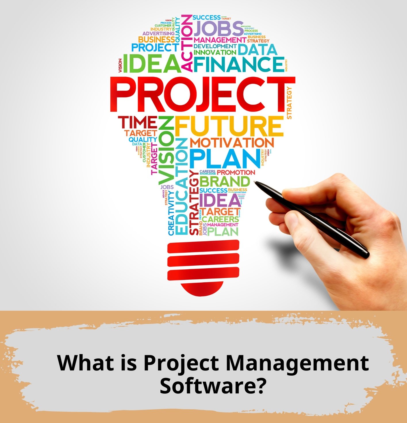 What is Project Management Software?