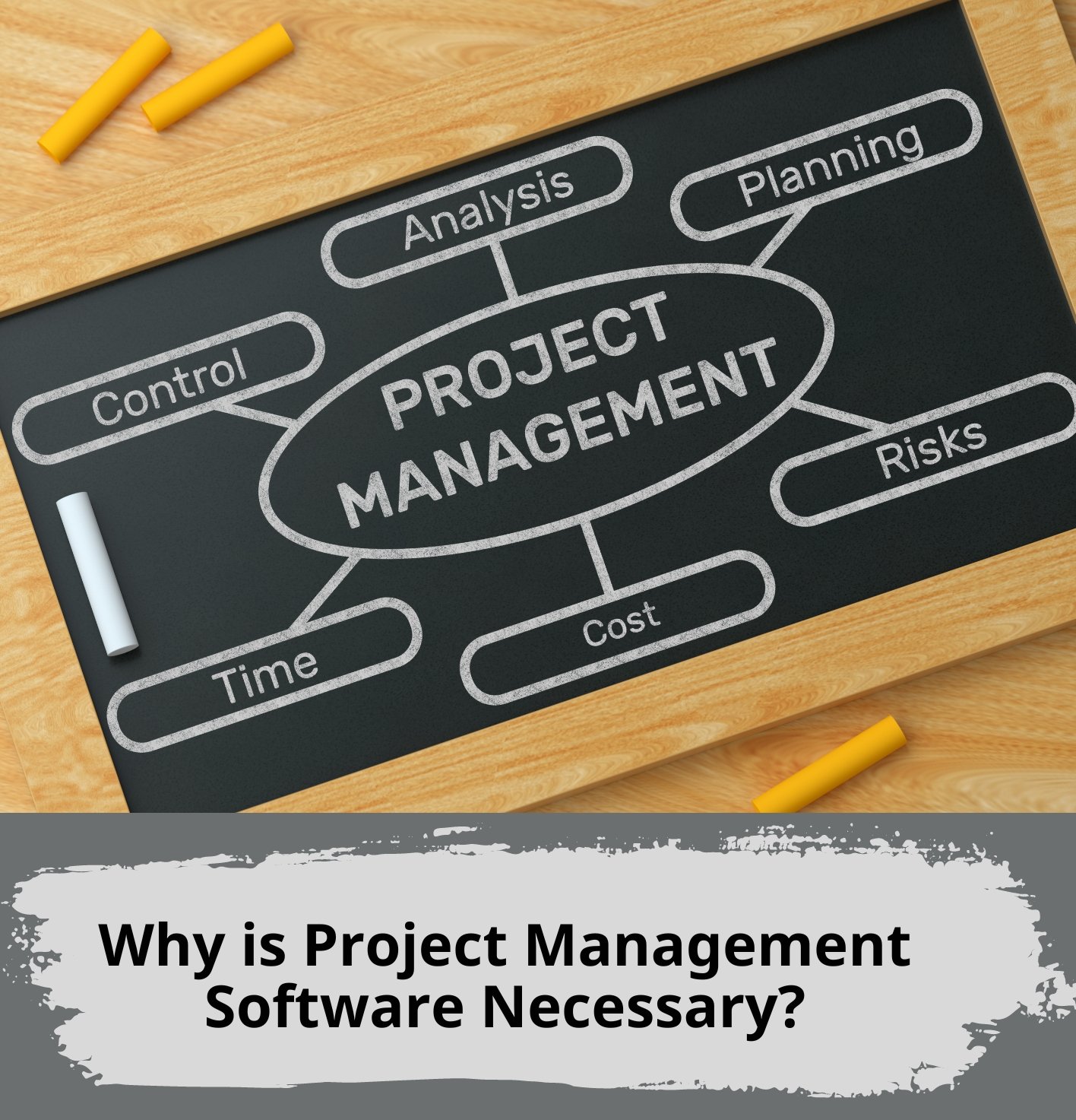 Why is Project Management Software Necessary?